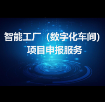 经信类项目咨询和申报服务